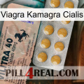 Viagra Kamagra Cialis 41